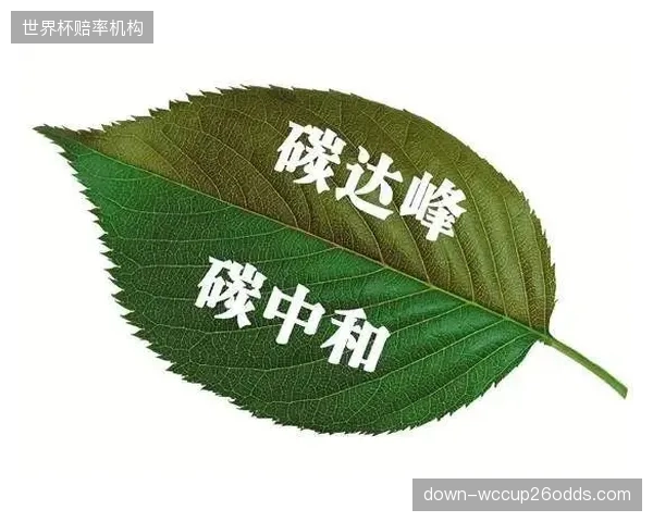 绿色赛事碳中和数据流成为国际体育组织首要审核指标